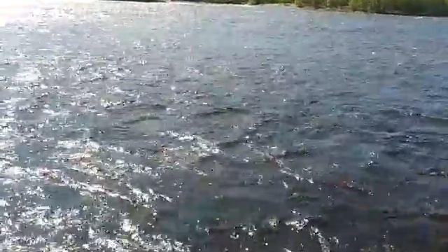 река Чульман, г. Нерюнгри. Июнь 2016 смотреть онлайн