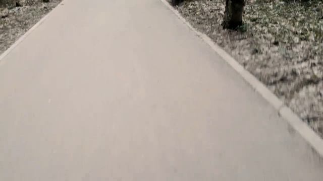 VLOG:1 часть/тропа здоровья/ролики смотреть онлайн