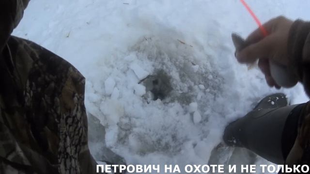 ОГРОМНЫЕ ОКУНИ С МИЗИНЕЦ НЕ ЛЕЗУТ В ЛУНКУ ))) РЫБАЛКА ДЛЯ ДУШИ. смотреть онлайн