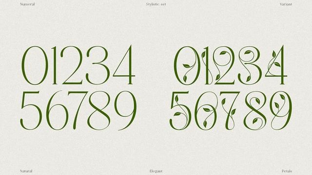Download Mallong Font смотреть онлайн