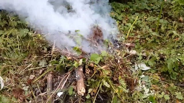 1 день. Проблема с костром. смотреть онлайн