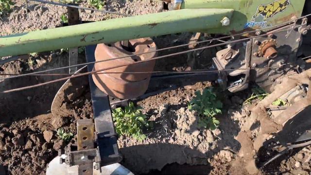 ВТОРОЕ ОКУЧИВАНИЕ КАРТОФЕЛЯ ПОСЛЕ ДОЖДЯ смотреть онлайн