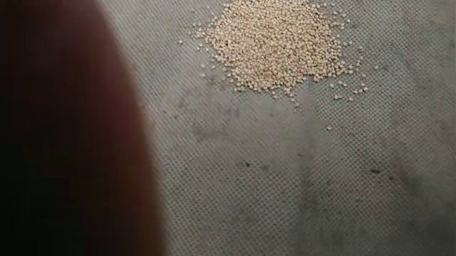 Органічне землеробство. Відео 6. Амарант. смотреть онлайн