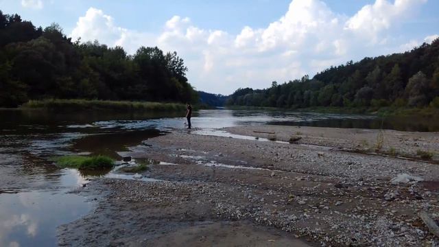 Раджа бультерьер в Гродно уходит в закат смотреть онлайн