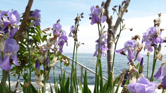 Почему цапля стоит на одной ноге