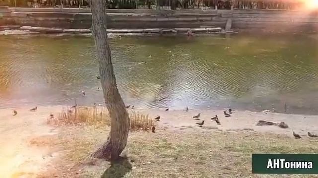 Осень. Сергей Грищук