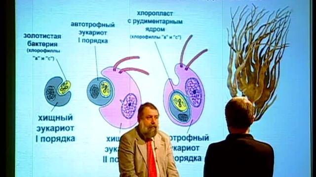 319 Биотический круговорот смотреть онлайн