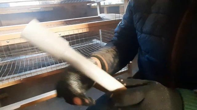 Ниппельная поилка для перепелов из круглой трубы/Ниппельная поилка своими руками/Перепела ТЕХАС смотреть онлайн