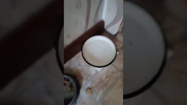 Кот и вода! смотреть онлайн