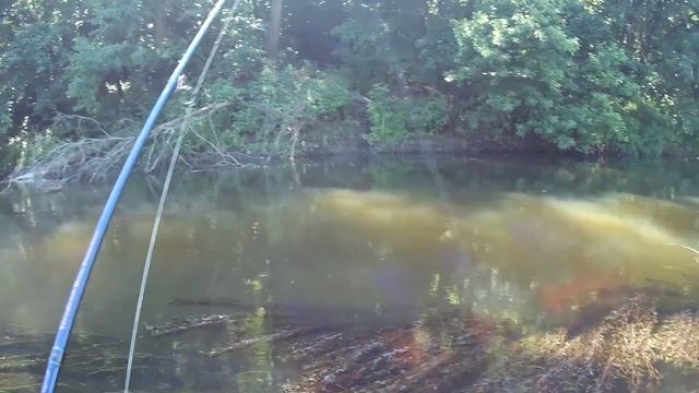 Ловля Голавля на крэнки. Клыкастый Судак на джиг смотреть онлайн