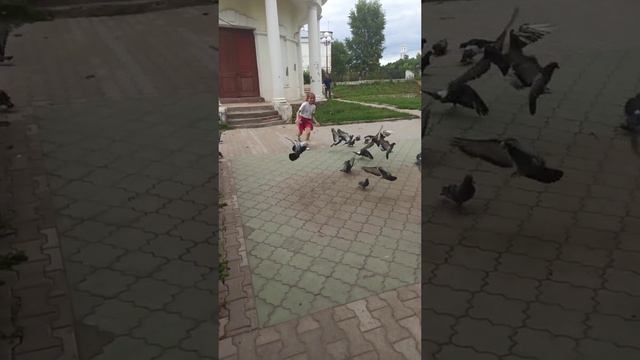 Зинаида Тверская ✌️