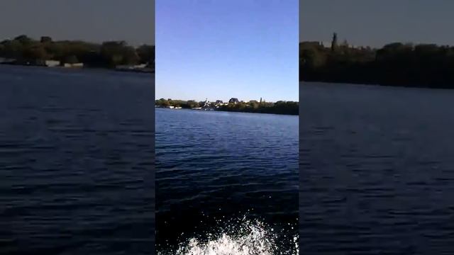 Парсун Т15BMS, Колибри КМ 360Д (проф) 250 кг. загрузка. смотреть онлайн