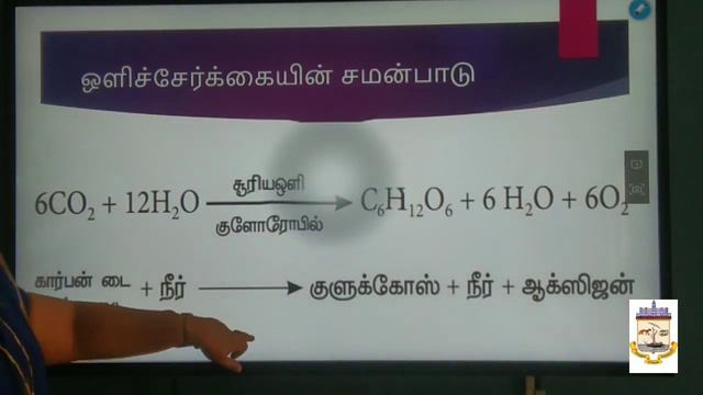 PLANT ANATOMY AND PHYSIOLOGY PART 3 (Class 10) Science смотреть онлайн