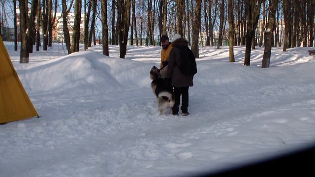 Тула 21.01.2024 проверка рабочих качеств Гельмут Кайзер Вильгельм Bestdog.mybb.ru