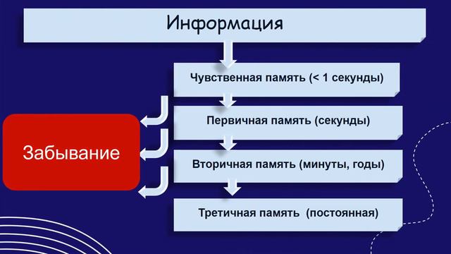 Biology 16+\Высшая нервная деятельность  Основные корковые процессы.\ Baranciuc Liudmila
