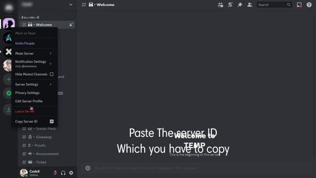 Clone Any Discord Server | Latest & Updated | Replit Free | Discord Server Cloner смотреть онлайн
