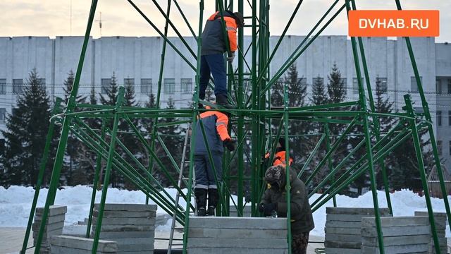 Новогоднюю елку начали устанавливать на площади Ленина смотреть онлайн