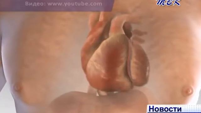 Геронтология+ смотреть онлайн