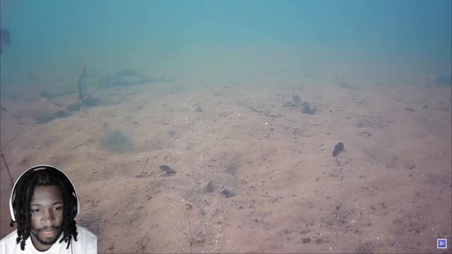Reacting To HOW BLUEGILL REACT To WIGGLERS **underwater camera** смотреть онлайн