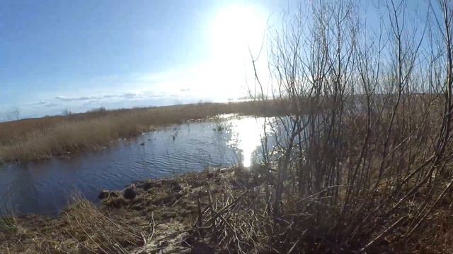 УСТЬЕ РУЧЬЯ ДЕРЕВНЯ СПИЦИНО смотреть онлайн