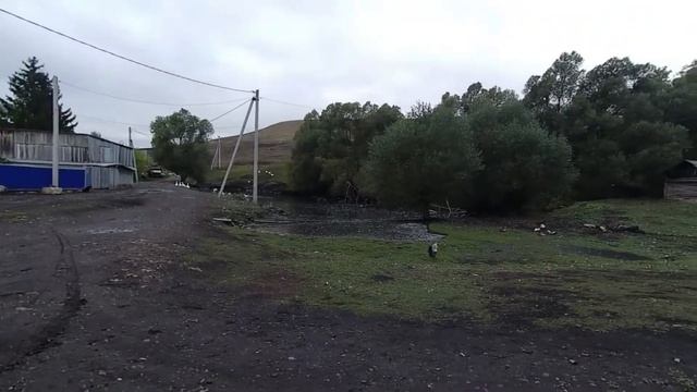 Гуси у машины. Село Куакбаш. Татарстан. Россия смотреть онлайн