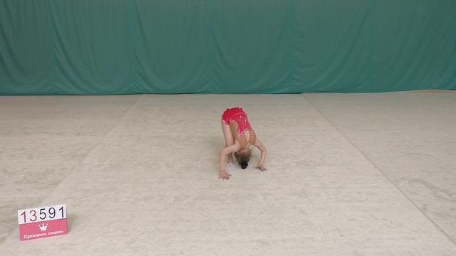 Обязательная программа – СШ 207 – команда "Бэмбики" – 03.04.2021 – 13591 смотреть онлайн