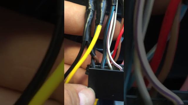 kawai double ekran bağlantı (fabia) смотреть онлайн