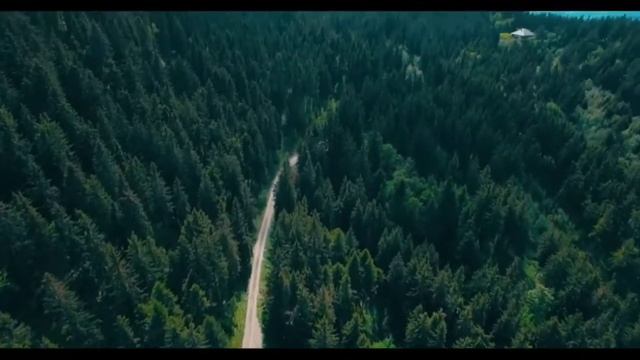 AD FREE tamil melody songs for better sleep...##STRESS RELIEF#night time melodies смотреть онлайн