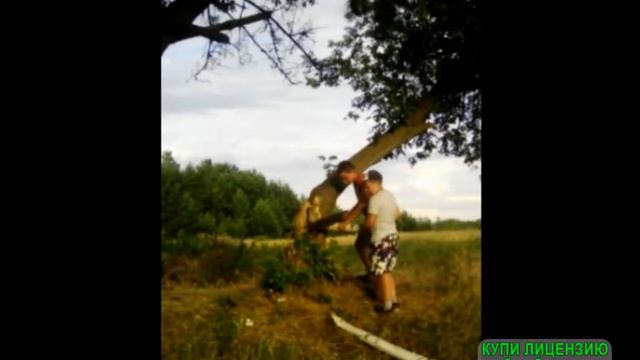 попробуй не засмейся #Самый Смак #сторим Лесницу #Профи поймет смотреть онлайн