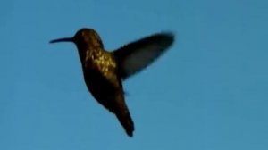 На ладони Божьей( Христианское Караоке )