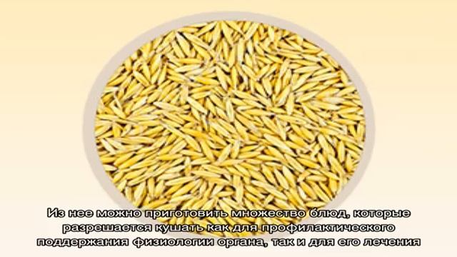 Вредные и полезные для печени продукты