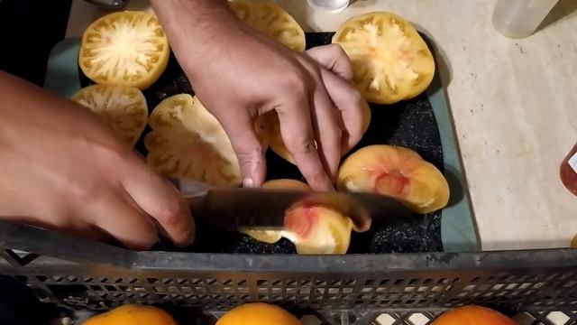 Разрез и дегустация томата биколора Желтый с красной мякотью (Yellow fresh red interior) смотреть онлайн