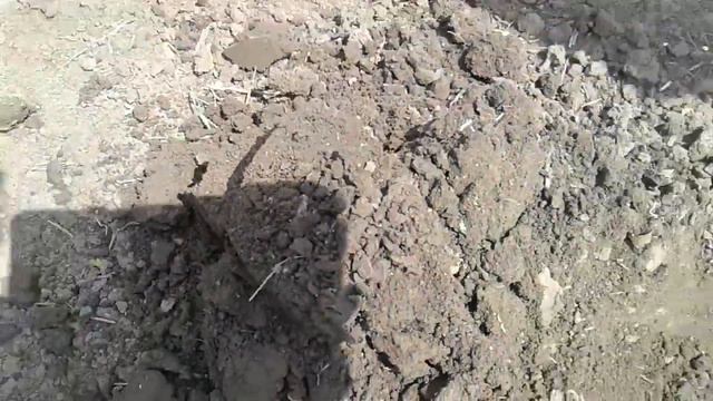 20160513 114501 смотреть онлайн