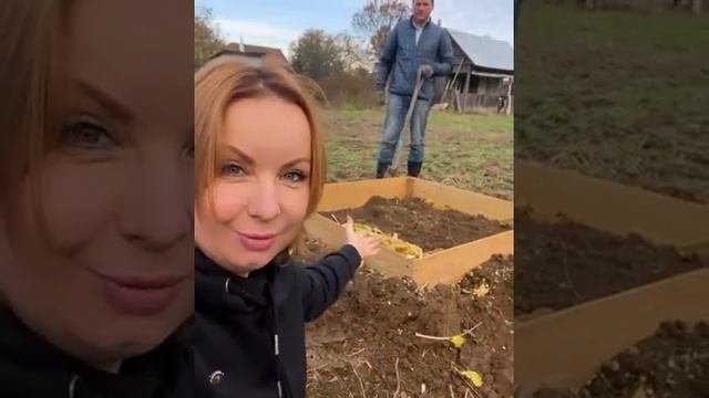 Я буду выращивать огромную тыкву? смотреть онлайн