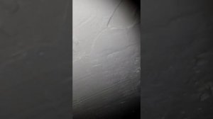 Можно ли акриловой краской красить потолок побеленный мелом.