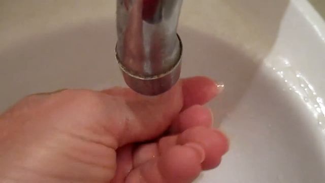 КЕДР. ВЫРАЩИВАНИЕ КЕДРА ИЗ СЕМЯН.