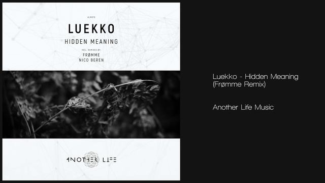 Luekko - Hidden Meaning (Frømme Remix) Another Life Music смотреть онлайн