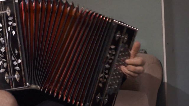 Талантливый гармонист Татарстана Адель Залялиев. смотреть онлайн