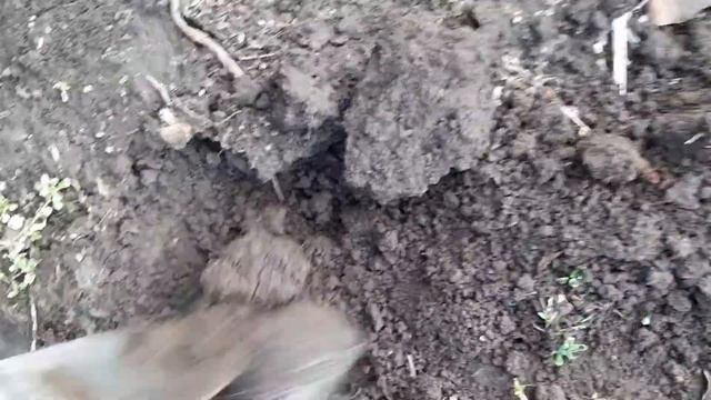 осенняя подкормка плодовых деревьев ???? смотреть онлайн