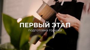 Как пересадить спатифиллум на фитиль?