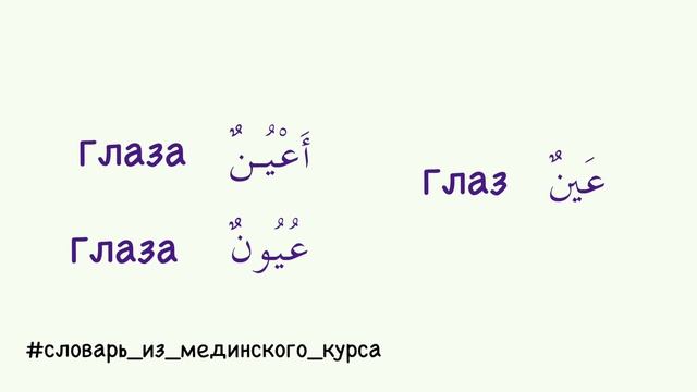 Мединский курс урок 3 | Арабский язык смотреть онлайн