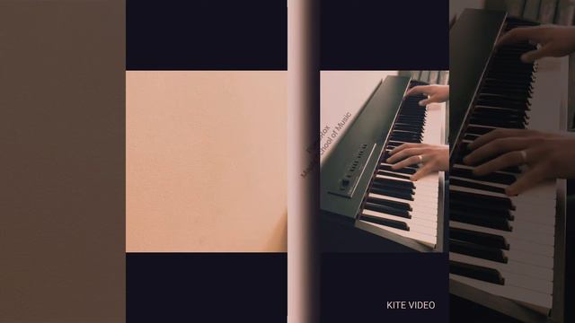 Dance Monkey Piano Cover смотреть онлайн