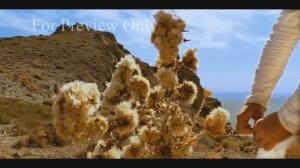 Пророк Мухаммад ﷺ