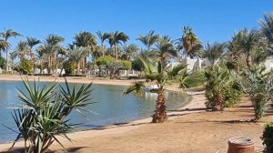 Pharaoh Azur Resort 5* , Хургада,  бюджетнее не придумаешь . Обзор 2020-2021.