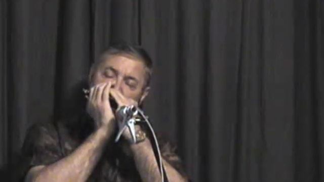 Bonsoir mademoiselle Paris (Zdeněk Rytíř) - Harmonica (cover) смотреть онлайн