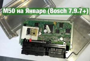 Бмв M50 на Январе (Bosch 7.9.7+)