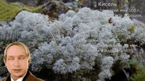 Ищите лучшее растение для здоровья и красоты Посадите в своей комнате исландский мох