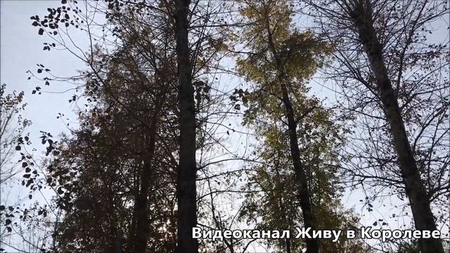 Парк в Костино. Королев