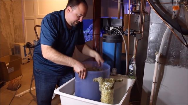 Cleaning the Protein Skimmer смотреть онлайн
