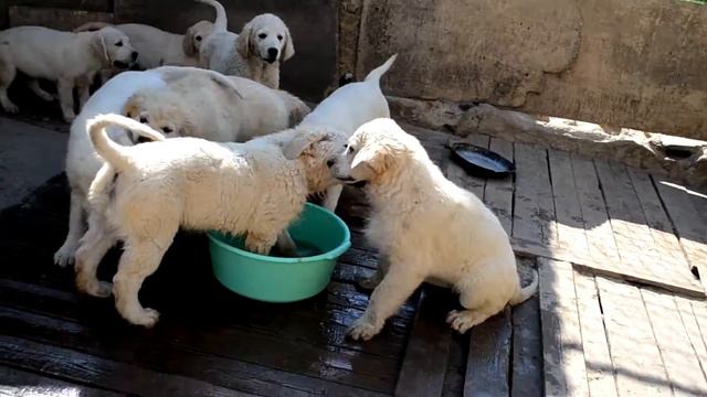 охлаждаемся - часть вторая смотреть онлайн